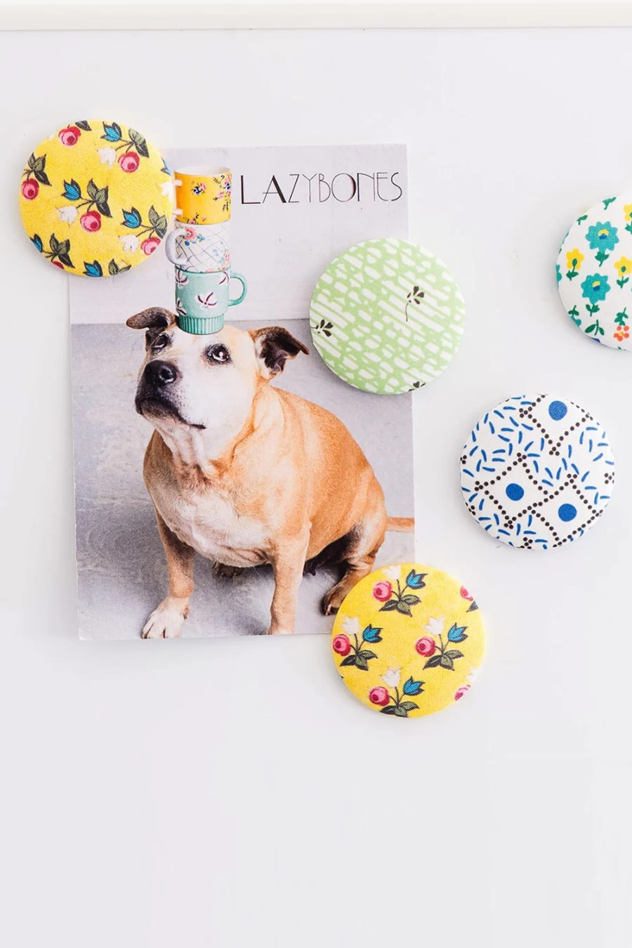 Lazybones Women's Lottie Magnet - Decorative Fridge Magnet for Home & Gifts